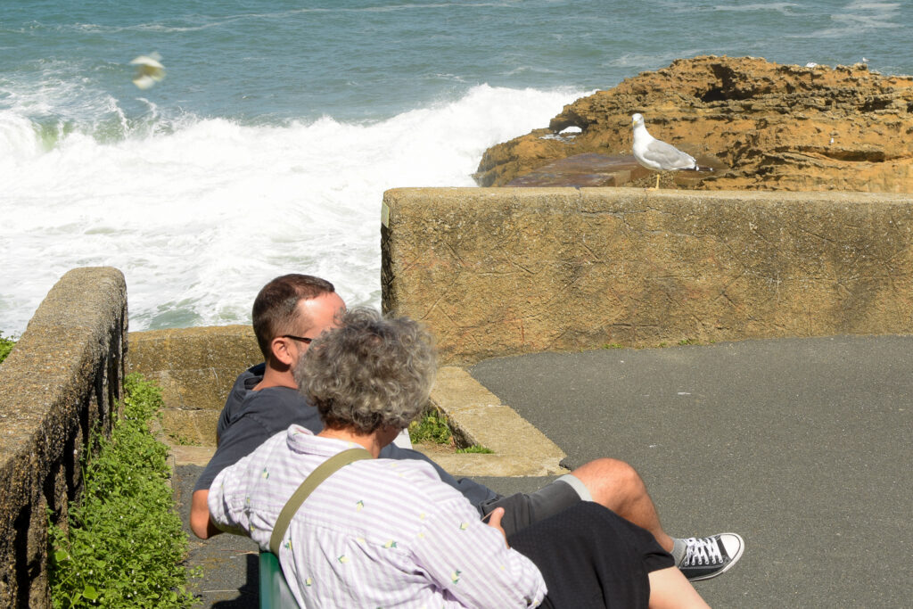 Una pareja sentada en un banco cerca del mar observados por una gaviota curiosa