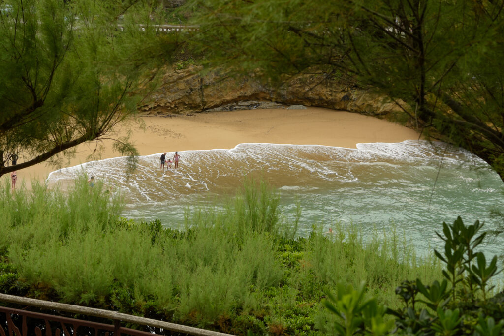 Una familia disfruta del agua en la playa de Biarritz con arboles y arbustos alrededor